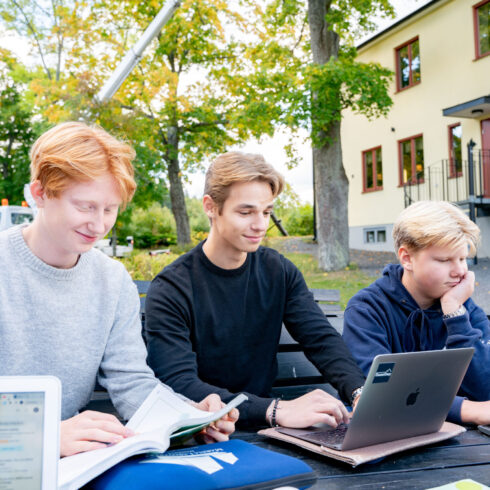 Tre manliga elever sitter och pluggar utomhus